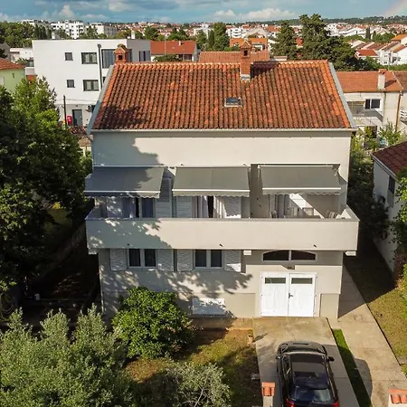 Dota Zadar