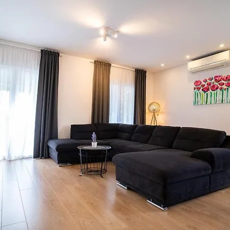 Dota * Zadar